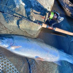 厳しいぞ ～天竜川ルアーフライ専用区～